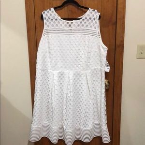 White a line dress